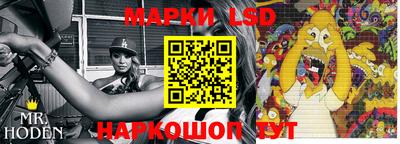 гидропоника Можайск
